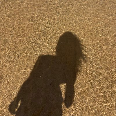 Amélie Labrande's profile picture