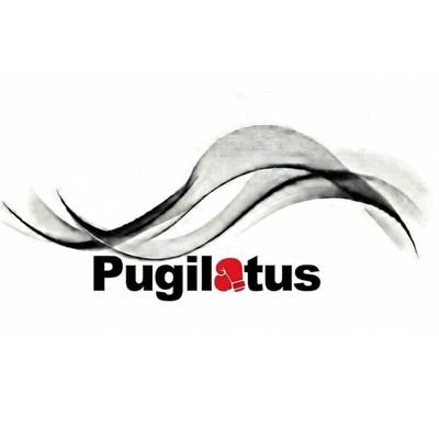 pugilatus's profile picture