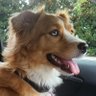 Tilford Griffin's profile picture