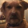 Marlboro Krasnyy's profile picture