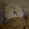 Anonymous匿名's profile picture