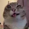 Profilbild von xbedrotmaxxingx
