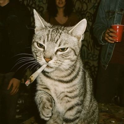 Negan_42's profile picture