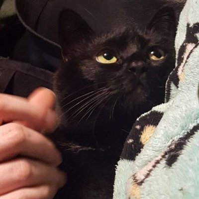 ciggrtaftrprty's profile picture
