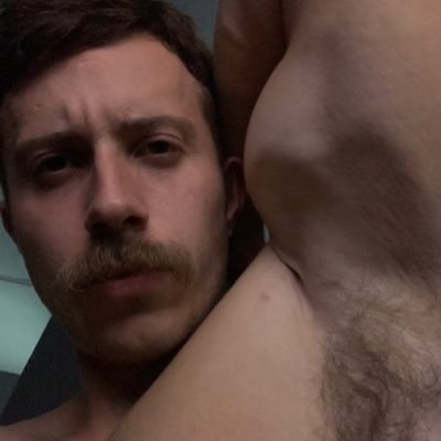 O adestrador 🦅's profile picture