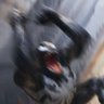 𝕷𝖊𝖛𝖎𝖆𝖙𝖍𝖆𝖓's profile picture