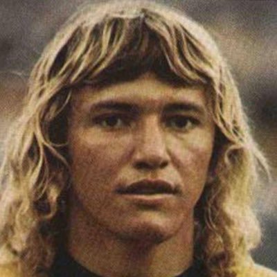 Botafogo ou Barbárie 🇵🇸's profile picture