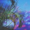 Profilbild von 🌴WallaPools🌴