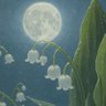 🐺Lilium✨️ 的头像