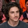 timothรฉรฉ chalamet ็ๅคดๅ