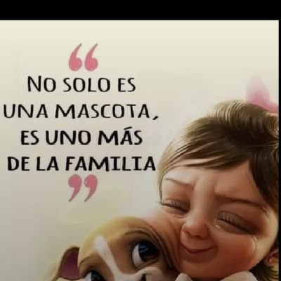 MIS AMIGOS DE 4 PATAS :)'s profile picture