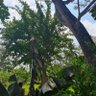 Фото профиля CaribeInmenso!