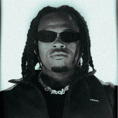 gunnafandom's profile picture