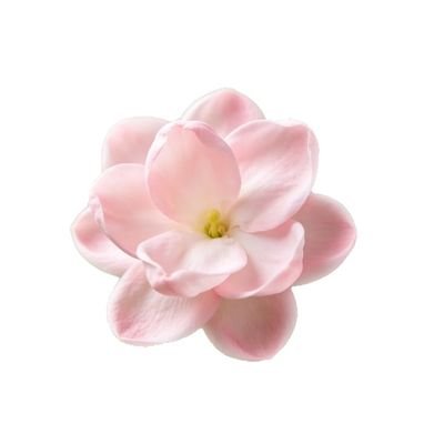 Tillier001's profile picture