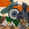 Bharat 🚩's profile picture