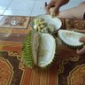 agus ahyar profil fotoğrafı