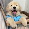 บลูเองคับ 🏹's profile picture