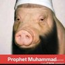 Profilbild von Prophet MoHammered