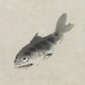 Profilbild von fish