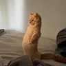Jk profil fotoğrafı