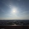馬競馬's profile picture