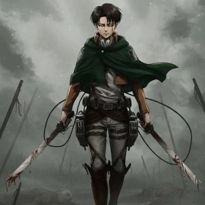 levi's profile picture