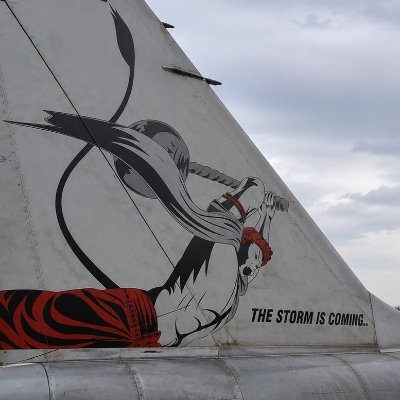 FighterPiloting's profile picture