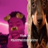 imnot_JØv@n🇯🇲 profil fotoğrafı