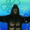 Profilbild von monkey