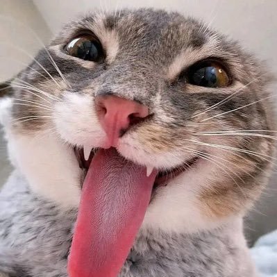Thuwangandee's profile picture