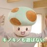 Profilbild von 緑眼のジェラシー