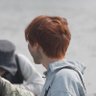 wtdcoffee's profile picture