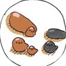 かりん's profile picture