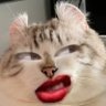 starsaturn's profile picture