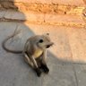AB profil fotoğrafı