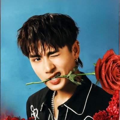 DIAMOND OFFICIAL FANBASE's profile picture