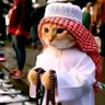Ahmed 的头像