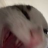 Profilbild von 𝗺𝗻𝗻𝗺𝗺𝗻.˗ˏˋ🐰ꔛ 𓈒 *🧺⋆⁺