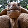 Profilbild von Stainerpete