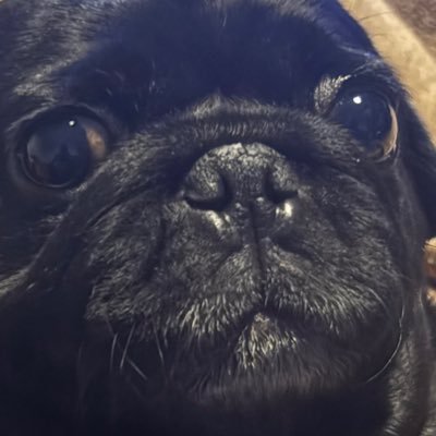316simsim's profile picture