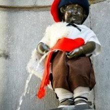 Joan Puig Cordon's profile picture