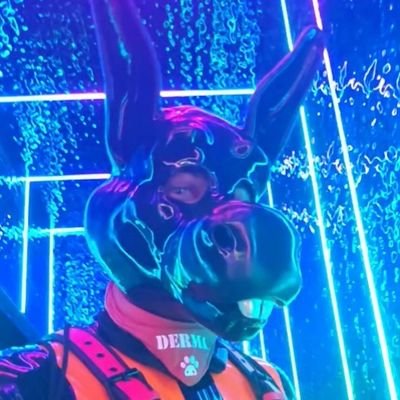 Derma Donk 🫏's profile picture