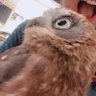。(くてん)'s profile picture