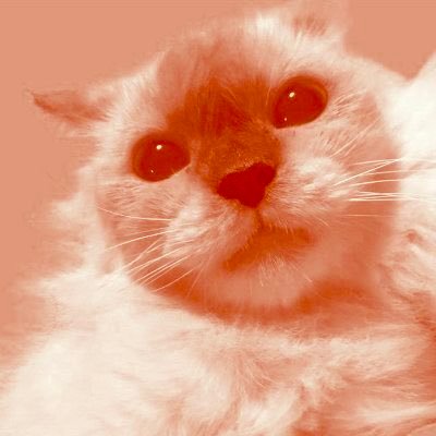 muningningg_'s profile picture