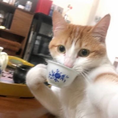 merkurmerkuri's profile picture