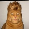 Cocs's profile picture