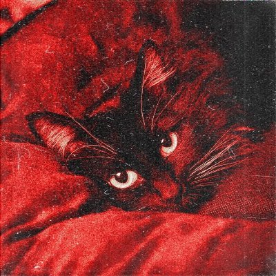 blerprep's profile picture