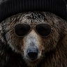 Profilbild von Saracen Bear 2.0