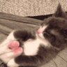 Fabric profil fotoğrafı