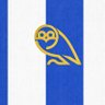 Фото профиля Alex🦉